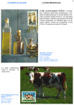 Cartolina Marianna 1