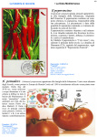 Cartolina Marianna 1
