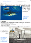 Cartolina Marianna 1