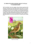 Greppi-Italo-Il-meraviglioso-mondo-degli-uccelli-I-passeriformi-001