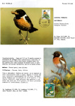 Greppi-Italo-Il-meraviglioso-mondo-degli-uccelli-I-passeriformi-014