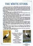 Nicolae-Salade-The-white-stroke-001