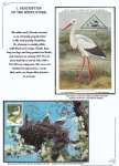 Nicolae-Salade-The-white-stroke-002