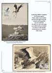 Nicolae-Salade-The-white-stroke-003