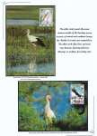 Nicolae-Salade-The-white-stroke-005
