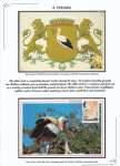 Nicolae-Salade-The-white-stroke-006