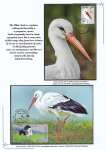 Nicolae-Salade-The-white-stroke-008