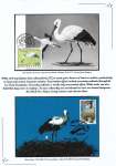 Nicolae-Salade-The-white-stroke-010