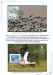 Nicolae-Salade-The-white-stroke-012