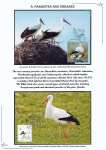 Nicolae-Salade-The-white-stroke-014