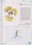 Anzhelika-Shestakova-The-Little-Prince-history-on-postcards-008