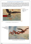 Athanasios-Paschos-The-Armee-dOrient-on-the-Macedonian-Front-1915-1918-023